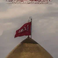 نیرو کار برای کارواش