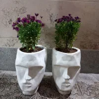 گل و گلدان خوشگل