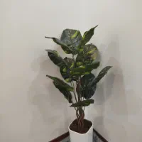 گل پرنده بهشتی|گل مصنوعی|دورود, |دیوار