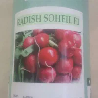 بذرتربچه گلخانه وفضای باز وانواع سبزیجات|خدمات باغبانی و درختکاری|نیشابور, شهید بهشتی|دیوار