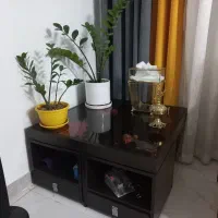 مبل و عسلی|مبلمان خانگی و میز عسلی|باغستان, |دیوار