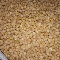 خوراکی