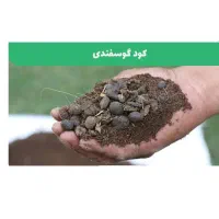 فروش کود گوسفندی با کیفیت تضمینی