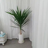 گل طبیعی