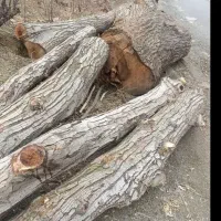 خرید چوب