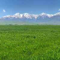 اجاره زمین کشاورزی