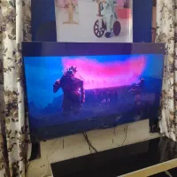 تلویزیون 65 اینچ|تلویزیون و پروژکتور|بوشهر, |دیوار