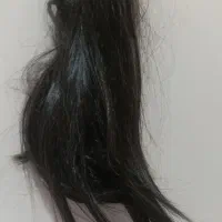 دو عدد کلاه گیس|آرایشی، بهداشتی، درمانی|کرمان, |دیوار