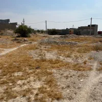فروش-زمین