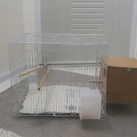 قفس