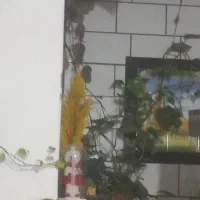 خانه قدیمی