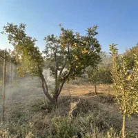 زمین ویلایی مناسب ساخت و سکونت