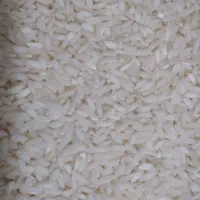 سلام برنج چمپای درجه یک  اصل و اعلای میداود