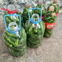 عرضع‌محصولات‌لبنی‌وحبوبات‌سراب