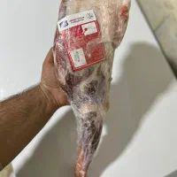 گوشت منجمد و گوشت گرم|خوردنی و آشامیدنی|تهران, تهرانسر شمالی|دیوار