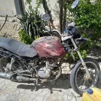 پالس گلسار۱۸۶ پلاک ملی