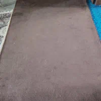 پالاز موکت