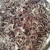 پیاز خلال خشک شده|خوردنی و آشامیدنی|شیراز, قلعه نو|دیوار