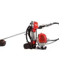 خدمات سم پاشی