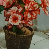 گلدان و شلوار