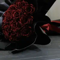 گل رز روبانی