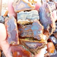 باسلام با کیفیت و مناسب تراش|جواهرات|فردوس (خراسان), |دیوار