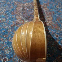 سه تار پالیزدار