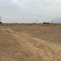 املاک زمین زراعی