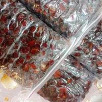 خرما مرداسنگ|خوردنی و آشامیدنی|منوجان, |دیوار