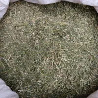 یونجه خرد شده وپلیت