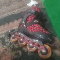 اسکیت چرخداردرحدنو