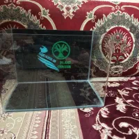 آکواریوم شرکتی