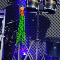 بانگو. پرکاشن . کوبه ای|درام و پرکاشن|تهران, تهرانپارس شرقی|دیوار