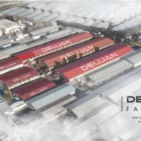 نیروی خدماتی