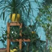 استند گل تمام چوب. ضد اب فقط سه ملیون..