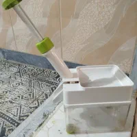 هسته گیر آلبالو در حد نو نو