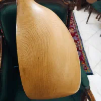 تنبور کلکسیونی استاد رضا براخانی|سازهای سنتی|تهران, شکیبا|دیوار