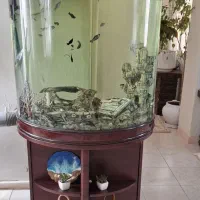 فروش آکواریوم|ماهی|جم, |دیوار