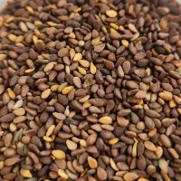 خمیر مایع