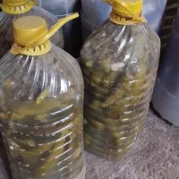 خیارشور ریز