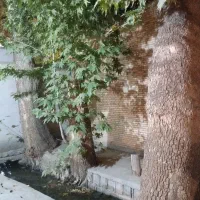 خونه-باغ-کوچک-با-آب-روان-ماهان