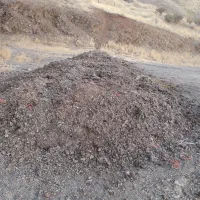 کود مرغی مرغداری تخم گذار