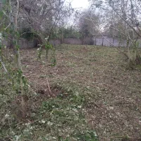 چمن زنی و علف زنی|خدمات باغبانی و درختکاری|کوچصفهان, |دیوار