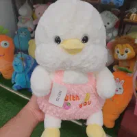 عروسکهای پولیشی|اسباب‌‌بازی|رشت, منظریه|دیوار