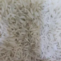 عرضه مستقیم برنج مینودشت