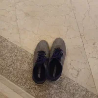 کفش اسپورت طرح لی