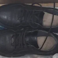 کتانی چرم اصل|کیف، کفش، کمربند|بندر انزلی, پردیس|دیوار