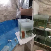 فروش و حراج کامل سالن پرورش|ماهی|کرمان, |دیوار