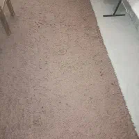 فرش تدی چهار متری