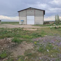 فروش یک واحد مرغداری ۷۰۰۰متر بادستگاههای اتوماتیک|فروش دفتر صنعتی، کشاورزی، تجاری|نمین, |دیوار